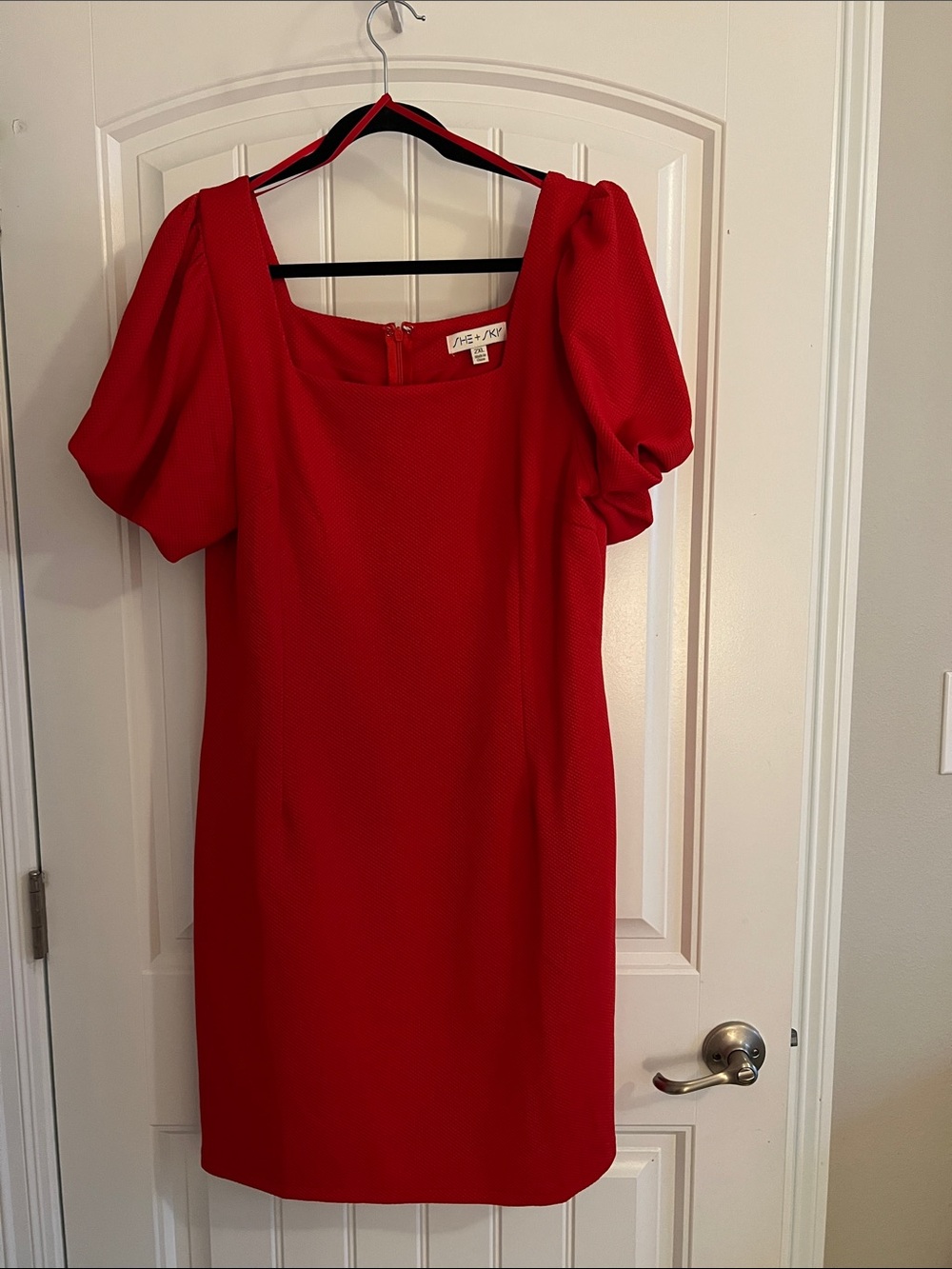 She + Sky Red Puff Sleeve Mini Dress